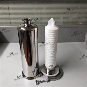 濾芯式過(guò)濾器（下入式）