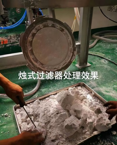 不銹鋼燭式過濾機(jī)